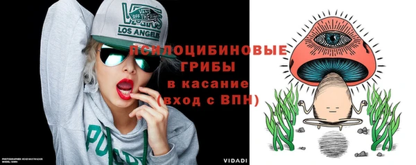 круглые Алзамай