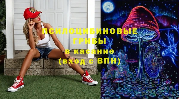 круглые Алзамай