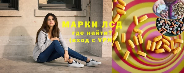 мдпв Рославль