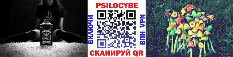 купить   Асино  Псилоцибиновые грибы Cubensis 