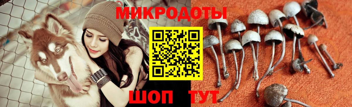 Галлюциногенные грибы GOLDEN TEACHER  Галлюциногенные грибы прущие грибы  Асино  Вход с VPN 