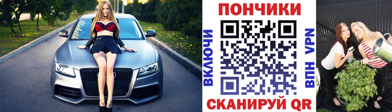где можно купить   Асино  Конопля индика 